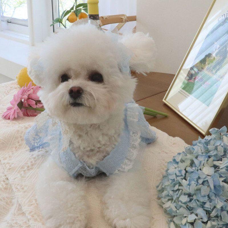 Haneul mung mung Tinker Bell Lace dress