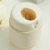 Up Toothpick Case Press Toothpick Holder Dispenser Compact Toothpick Storage Box