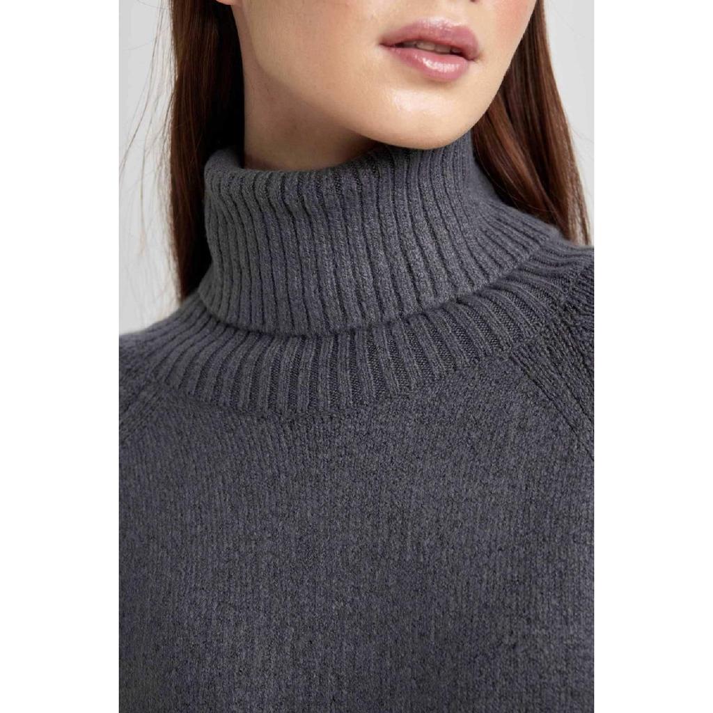 Regular Fit Turtleneck Long Sleeve Dress C1932ax23wn