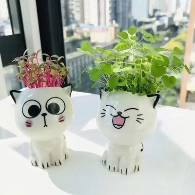 Ceramic Flowerpot Mini Cat Cartoon Cute Potted Plant Desktop Cat Plant Pot DIY Desk Decorate Science Education School Gifts
