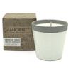 Large Forever Vanilla Soy Candle Pot