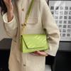 Green Flap Crossbody Bags for Women 2024 Winter Designer Fashion Trend Small Leather Shoulder Bag Handbags and Purses