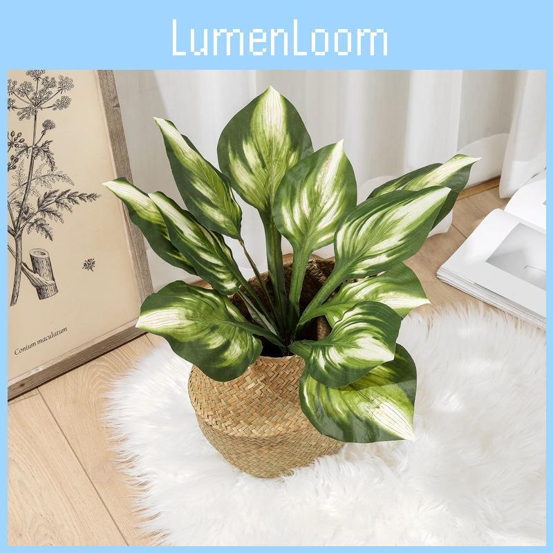 Japonica Viola Plastic Var Stenopetala Leaf For Garden Supplies Decoration