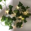 Green Leaf & Maple Pothos LED Solar String Lights