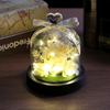 Decorațiuni pentru casă – Terarii decorative