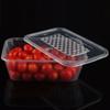 Yanggge Disposable Clear Plastic Takeaway Containers