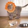 Soft Anti-licking Recovery Collar Cone for Cats Adjustable Pet Protector Neck Ring After Surgery Stop Scratching Cat Recovery