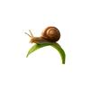 Nature Style Snail Green Leaves Decorative Sticker for Window Wall Cute Home Decor
