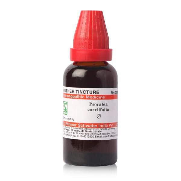 @ Dr Willmar Psoralea Corylifolia Homeopathy Medicine 30ML Z731 UKR283_60%OFF