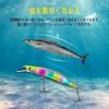 [RISOUHE] Lure Floating Minnow Set, 5 Colors, Minnow, Sea Bass,