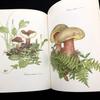[USED] Michiko Kobayashi Art Collection "Mushrooms" 1993 First Edition Yama-to-Keikoku-sha
