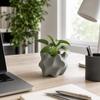 3D Printed Succulent Pot Desktop Storage Irregular Planter Artistic Flowerpot  Home Decor
