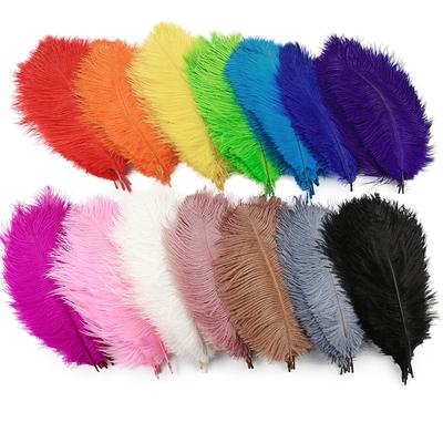 10Pcs/Lot 25-30cm Ostrich Feathers for Crafts Party Decoration Jewelry Creation Natural Feather for Needlework and Handicrafts