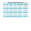 Soccer Jersey 23-24 Paris Home 30 Messi  Football Shirt
