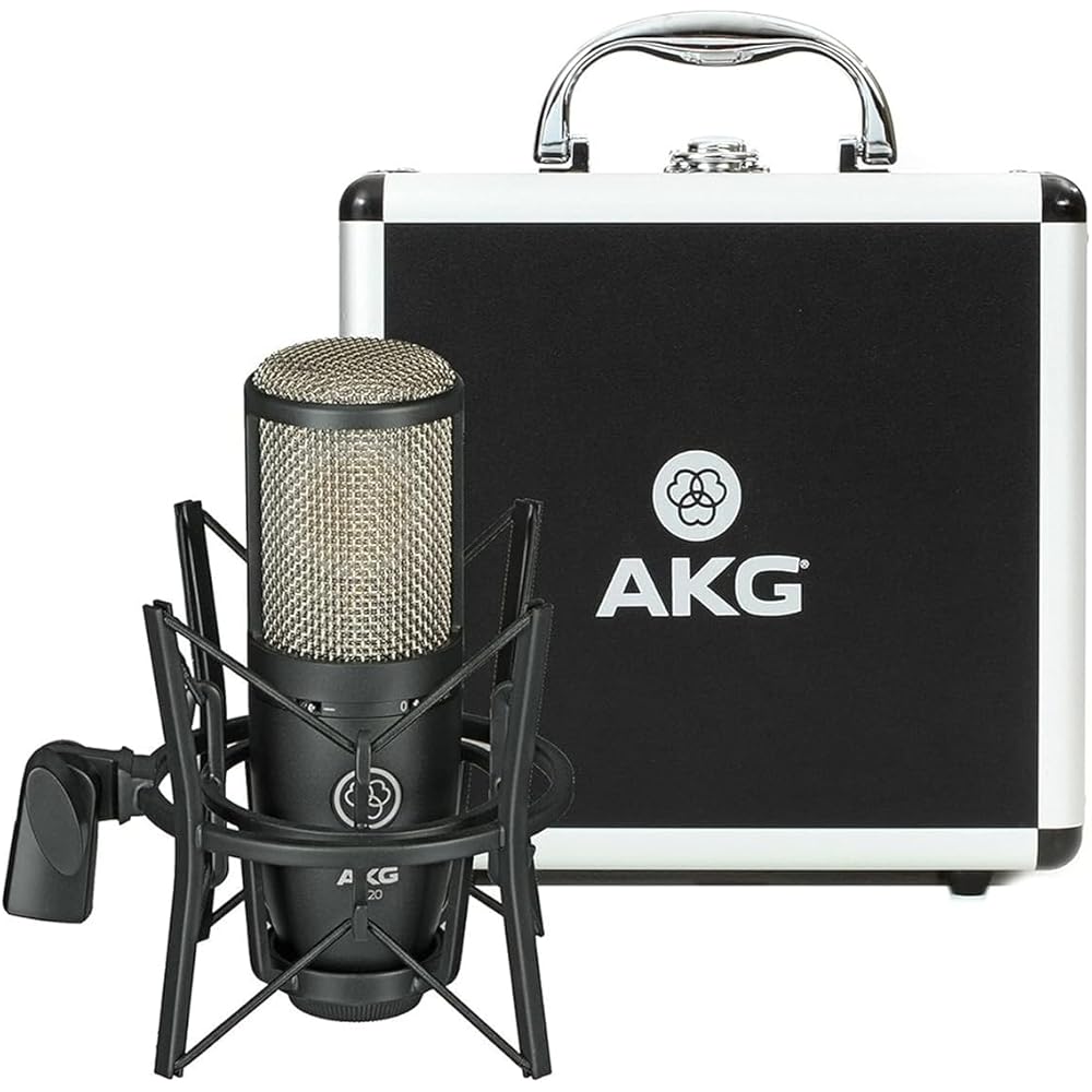 AKG (Arker Game) P220 Project Studio Line [Ideal for Vocal/piano/wind Instrument Recording, Durab...
