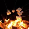 6Pcs Telescopic Fondue Forks Stainless Steel Chocolate Fruits Sticks Grilling Fork  Outdoor