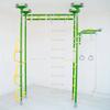 Pegas 2 gymnastic ladder - light green