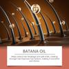 Organic Batana Oil for Hair Growth Nourishing  Hair  Naturally Reduces Hair Loss Anti Breakage for Home Use