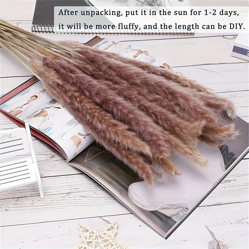 Feixe de Capim dos Pampas, Capim Rabo de Coelho, Juncos, Capim dos Pampas – Decoração Seca Fofa para Casa