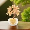 Home Decor Lucky Tree Bonsai Type Money Tree Decoration Decoration Bonsai Money Tree  Home
