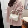 Fashion Pleated Handbag Women's Bag Spring New Pillow Bag Simple Shoulder Messenger Bag