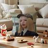 YUQI Chinese Singer Cushion Cover Silky Short Plush Invisible Zipper Dustproof Sofa Pillow Case for Home Decor
