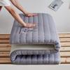 Nu Feng Soft Tatami Style Single Mattress