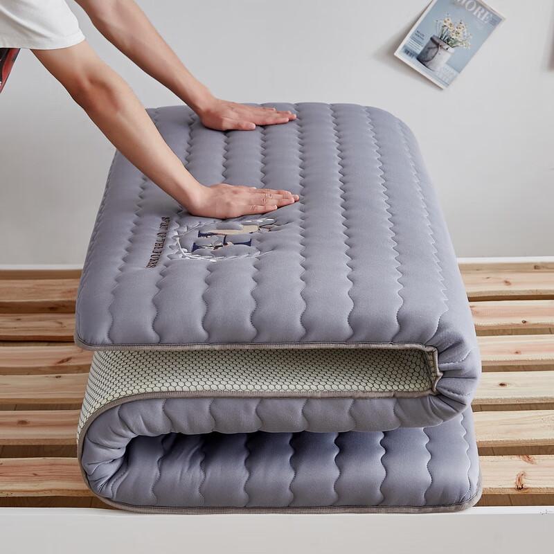 Nu Feng Soft Tatami Style Single Mattress
