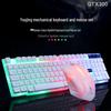 Li-Mage GTX300 White RGB Backlit USB Gaming Keyboard and Mouse Set