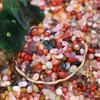 Yuhuashi Agate Pebbles: Natural Five-Color Stones for Aquarium, Terrarium, or Hydroponic Landscaping.