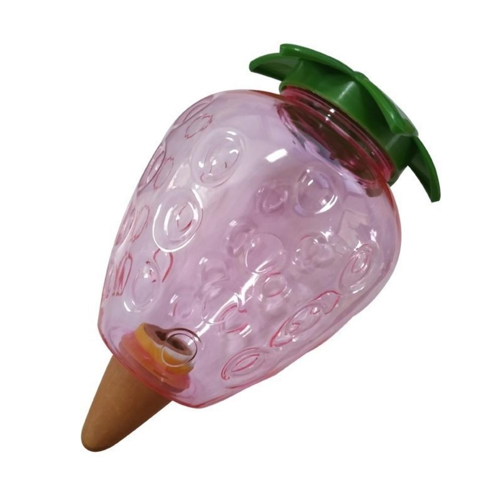 Water Conservation Succulent Plant Sprinkler Transparent Automatic Watering Device Indoor Plants