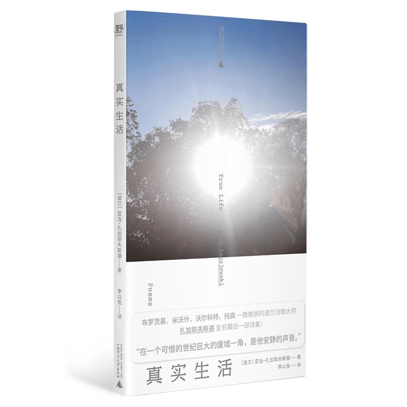 Zagajewski Poetry Collection