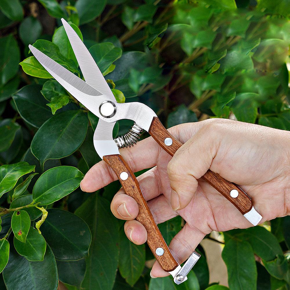 19 Cm Straight-Blade Solid Wood Garden Pruning Shears – Manganese Steel Fruit-Picking & Grafting Scissors with Non-Slip Handle