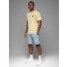 Ombre Shorts OM-SRSK-0138
