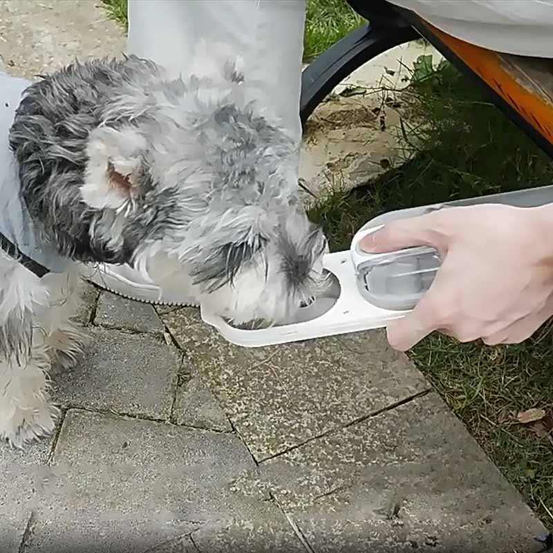 Portable Pet Water Bottle 285ML Cat Water Cup Bowl Durable Drop-resistant Outdoor Cats Dog Drinking Water Dispenser Accessories