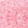 Rose Petal Decor for Weddings: Ceremony, Room, Proposal & More