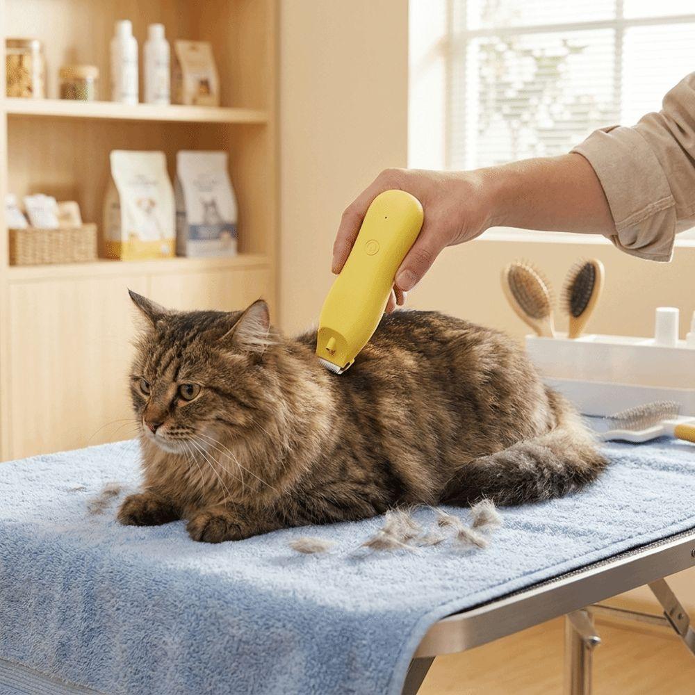Low Noise Electrical Dog Hair Trimmer USB Charging Pet Hair Clipper Cat Shaver for Cats and Dogs