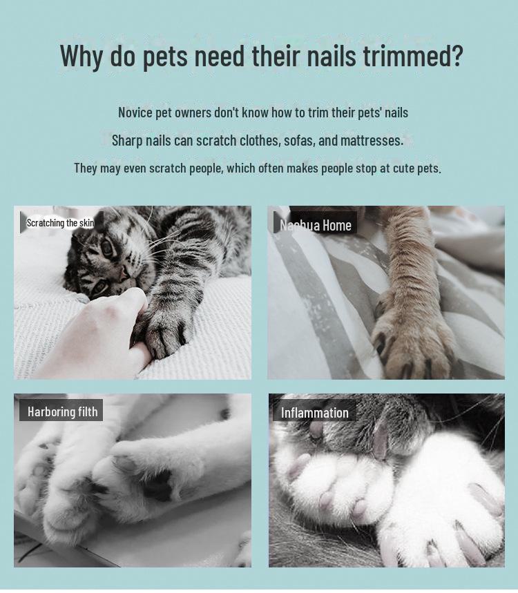 Stainless Steel Pet Nail Clippers for Dogs and Cats