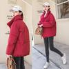 Giacca invernale da donna colletto alla coreana solido nero bianco piumino femminile piumino ampio oversize da donna corto