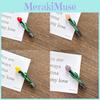 Stylish And Trendy Korean Tulip Hair Clips In Various Colors For Women's Fashion Accessories