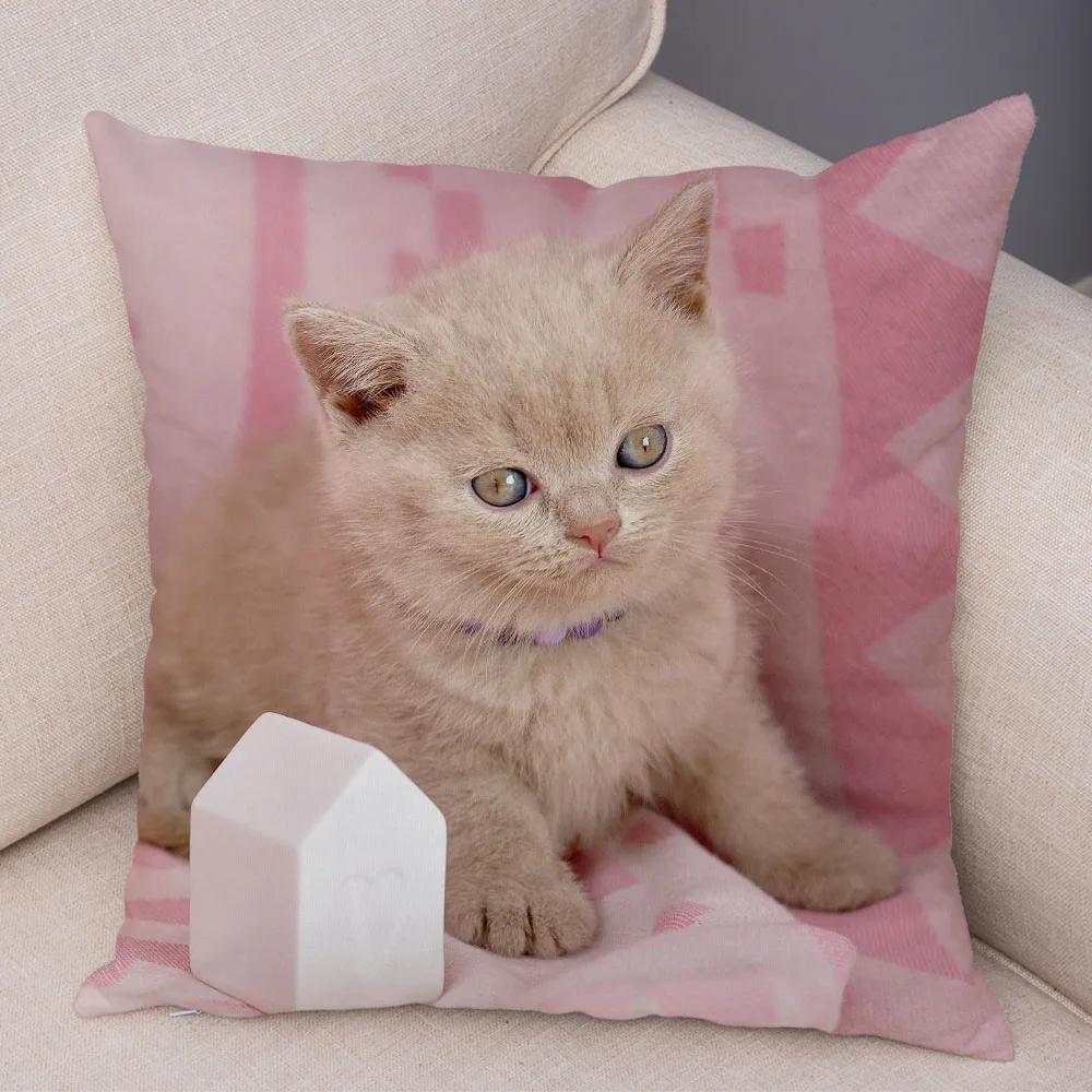 Russian Blue British Shorthair Cushion Cover Decor Cute Cat Pet Animal Pillowcase Soft Plush Pillow Case for Car Sofa Home