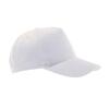 Buzz 5 Panel Baseball Cap