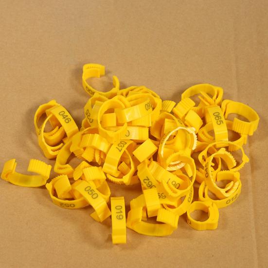 Yousheng 100Pcs Chicken Ring Adjustable Buckle Design Easy-assembled Duck Chicken Foot Ring for Marking