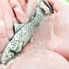 Fish Shape Beer Bottle Opener Stainless Steel Texture Beer Caps Opener Camping Tool for Various Type of Cold Beverages