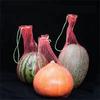 With Straps Hanging Watermelon Mesh Bag Reusable Garden Netting  For Garden Planting