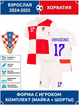 Mandzukic Croatia National Team Football Jersey #17 Champions League Edition Football Jerseys Training Suit Set