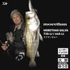 Daiwa Plug Morethan Galva LI Fuyajo 73S-LI 73mm 13.2g