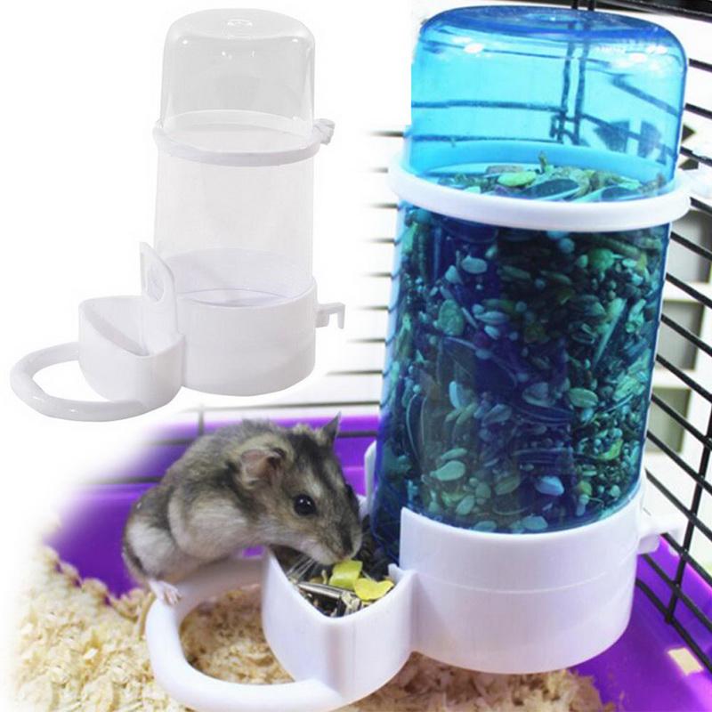 hamster auto feeder