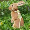 New Type Cute Rabbit Harness and Leash Set Bunny Pet Accessories Vest Harnesses Rabbit Leashes for Outdoor Walking Pets Supplies