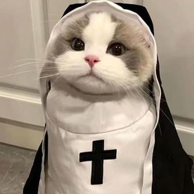 Nun Costume Dog Halloween Costume